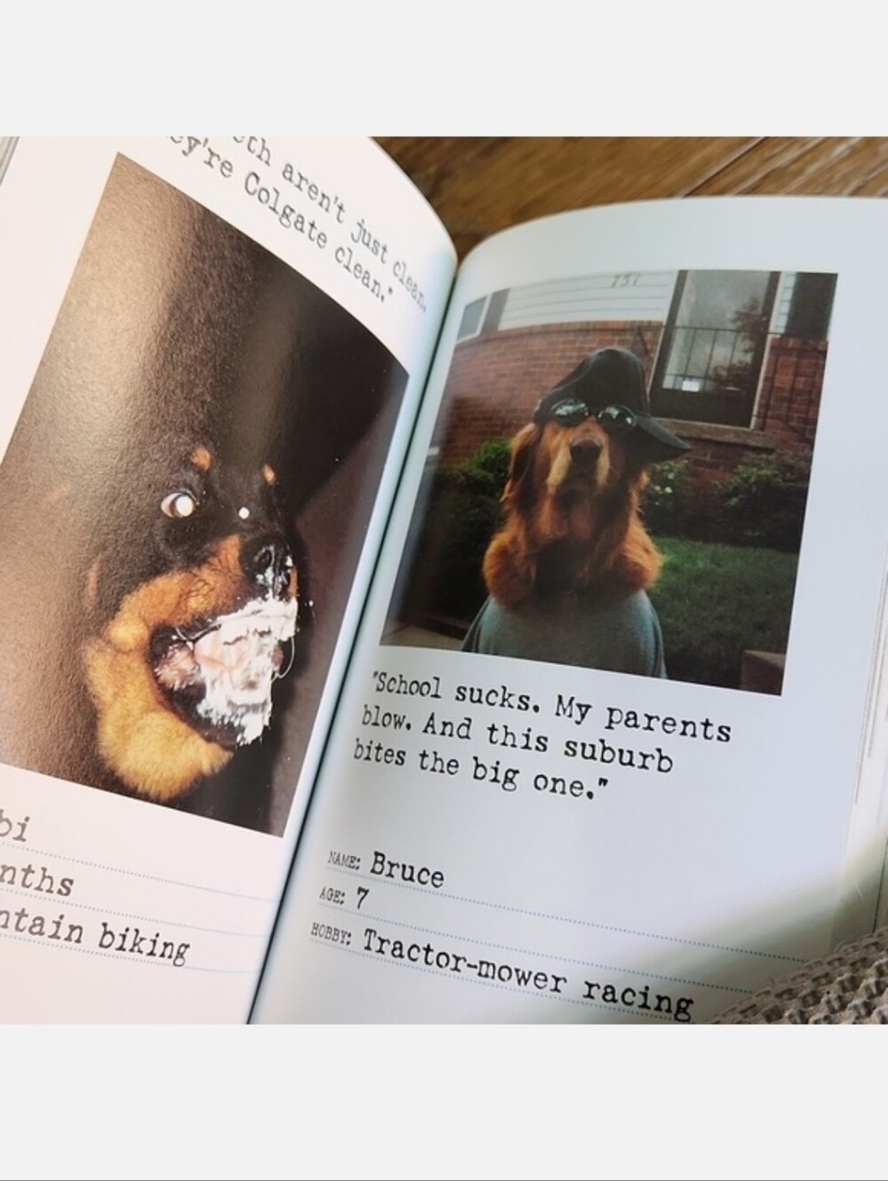 Bad Dog Book - Picture 7 of 9